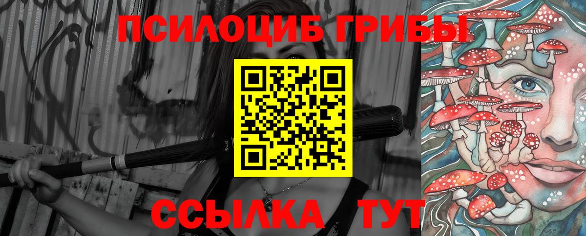 Галлюциногенные грибы прущие грибы  Вход с VPN  Прокопьевск 